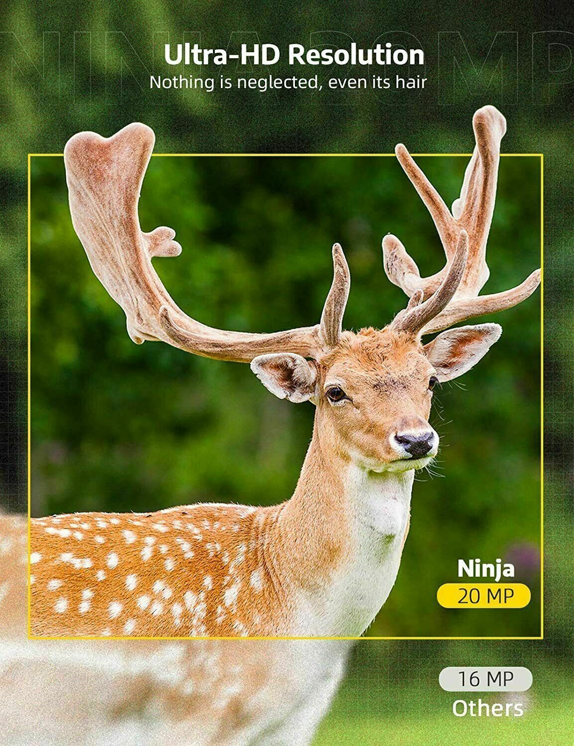 Wireless HD wildlife game trail camera with night vision by Belro, showing outdoor setup and camera lens in natural environment.