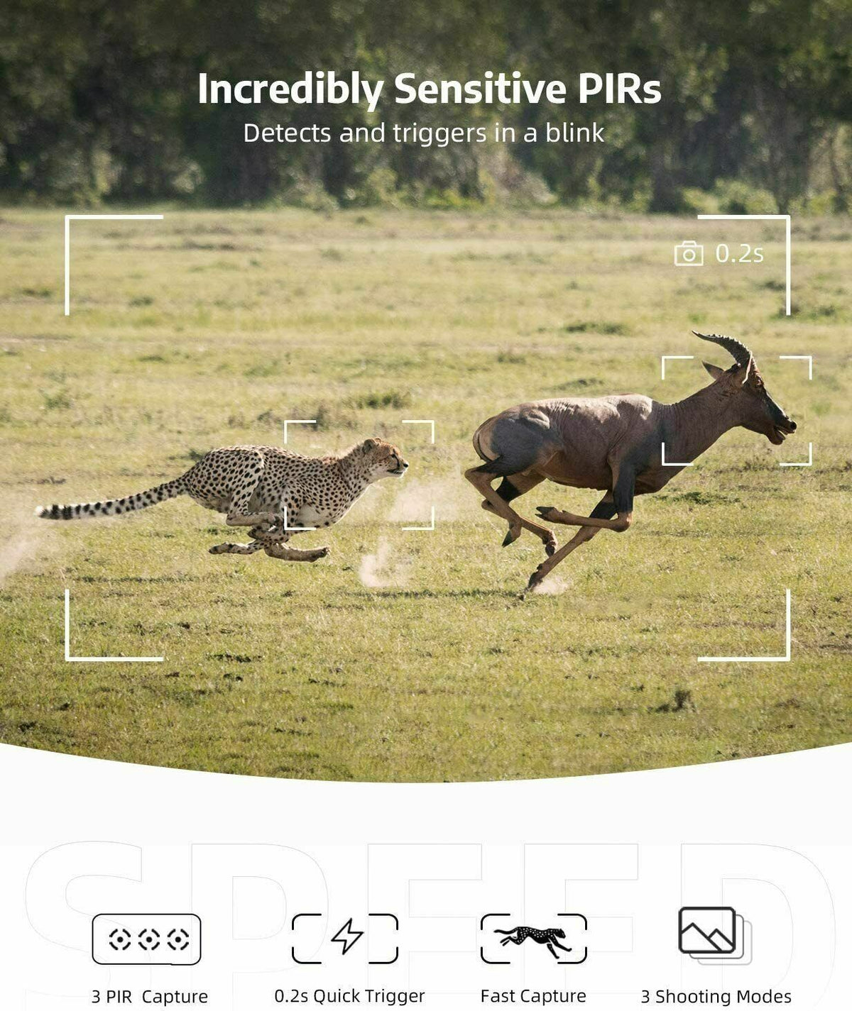 Wireless HD wildlife trail camera with night vision from Belro, showing outdoor setup with lens and infrared sensors for wildlife monitoring.