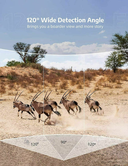 Belro wireless HD wildlife trail camera with night vision, showing outdoor setup and lens in natural environment.