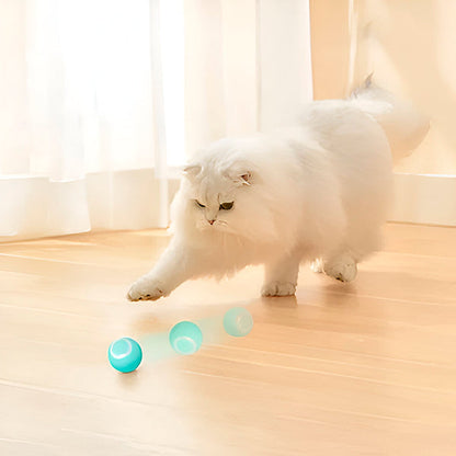 Belro interactive pet ball for cats, rolls automatically to keep cats entertained with fun, engaging motion.