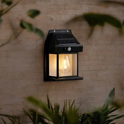 Belro outdoor solar LED lights with motion sensor illuminating a garden pathway at dusk.