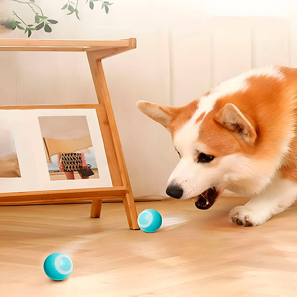 Belro interactive pet ball for cats, rolls automatically with colorful design, engaging feline play and entertainment.