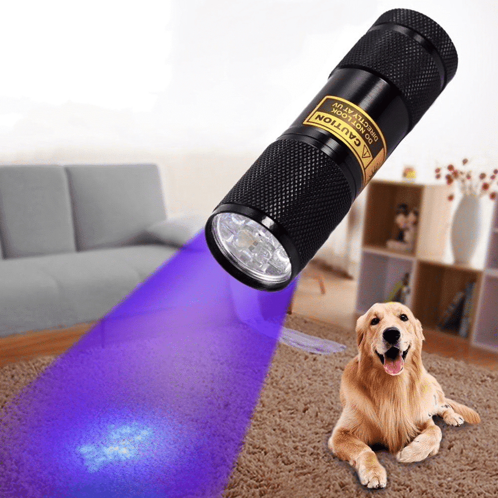 Belro 21 LED pocket UV lamp showing compact black device with 21 ultraviolet LEDs for UV light illumination.