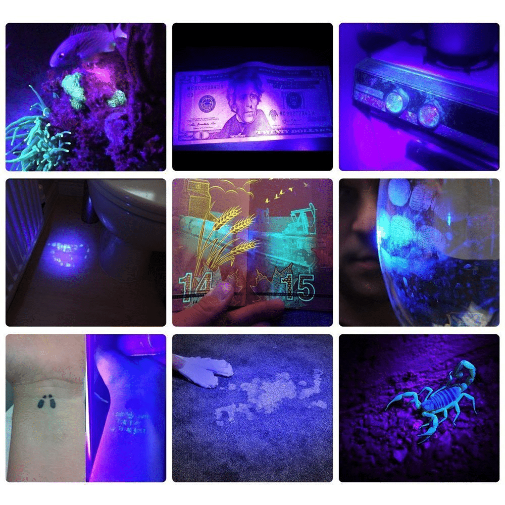Belro 21 LED pocket UV lamp for electronics and lighting, compact handheld UV light device with powerful illumination.