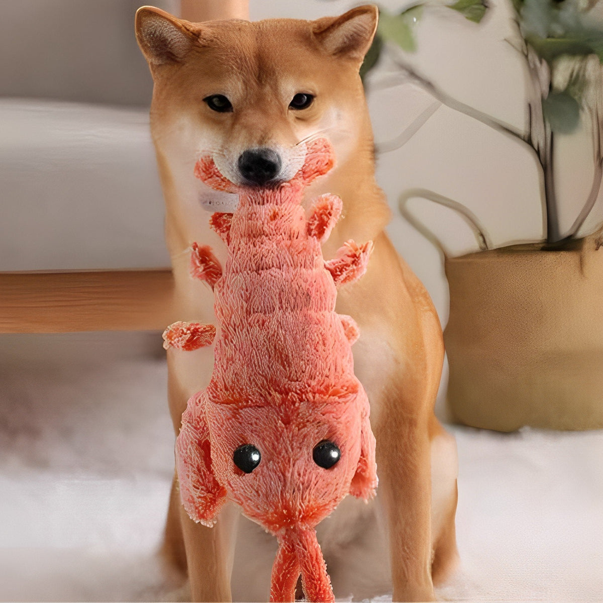 Belro Floppy Lobster interactive dog toy made of soft fabric with long floppy limbs, designed for fun and engaging pet play.