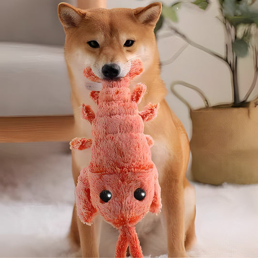 Belro Floppy Lobster interactive dog toy made of soft fabric with long floppy limbs, designed for fun and engaging pet play.