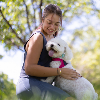 Belro Dogs Hard Floor Single Seat in a cozy pet space, designed for comfortable dog sitting on a sturdy hard floor surface.