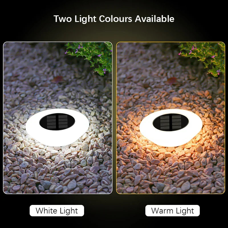 Mivoza solar ground lights 4-pack with 14 LEDs each, 360° illumination, designed for garden pathways and landscape lighting.