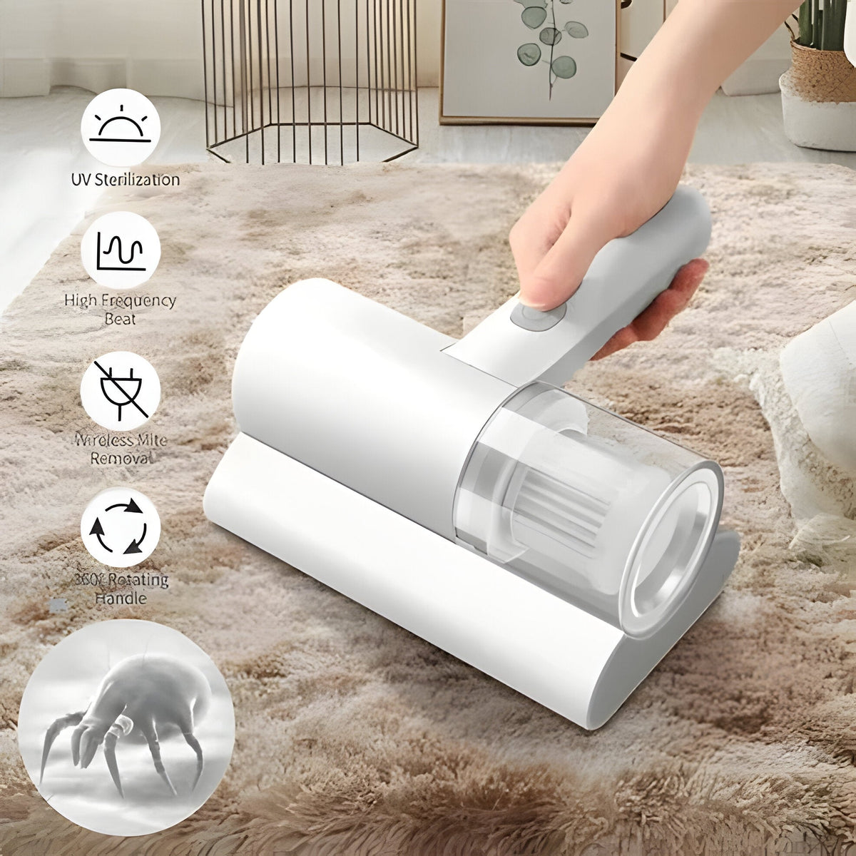 Belro deep cleaner vacuum with high-frequency mite removal for effective home and garden cleaning.