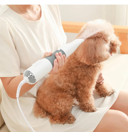 Belro 3-in-1 dog hair dryer and grooming brush, compact personal care appliance for pet grooming, with ergonomic design and multiple functions.