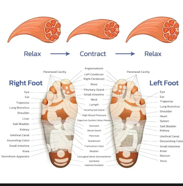 Belro rechargeable heated foot massager with control panel, designed for soothing relaxation and pain relief.