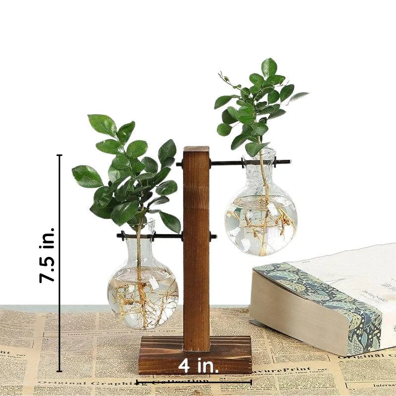 Belro wooden frame hydroponic plant vase with glass container, modern home and garden decor for indoor plant display.