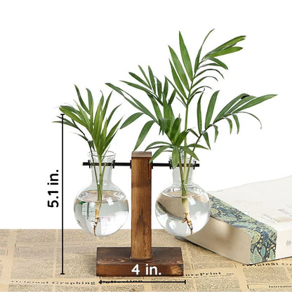 Wooden frame hydroponic plant vase with glass container, designed for home garden decor, by Belro.