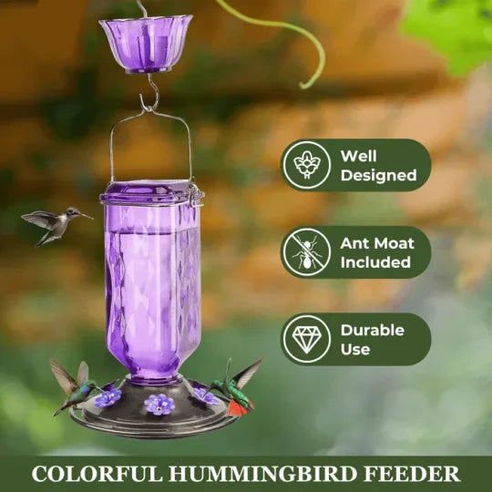 Belro 24oz leak-proof glass hummingbird feeder with colorful floral design for garden and outdoor decoration.
