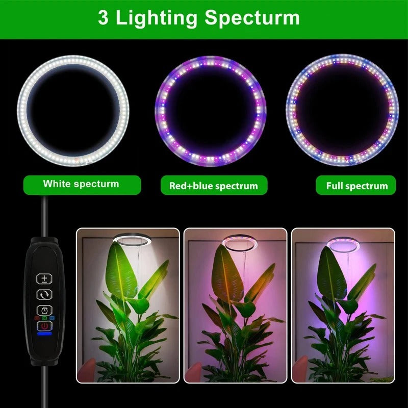 Belro grow light for indoor plants, mounted on a stand, providing bright LED illumination for healthy plant growth indoors.