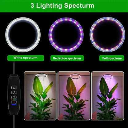Belro grow light for indoor plants, mounted on a stand, providing bright LED illumination for healthy plant growth indoors.