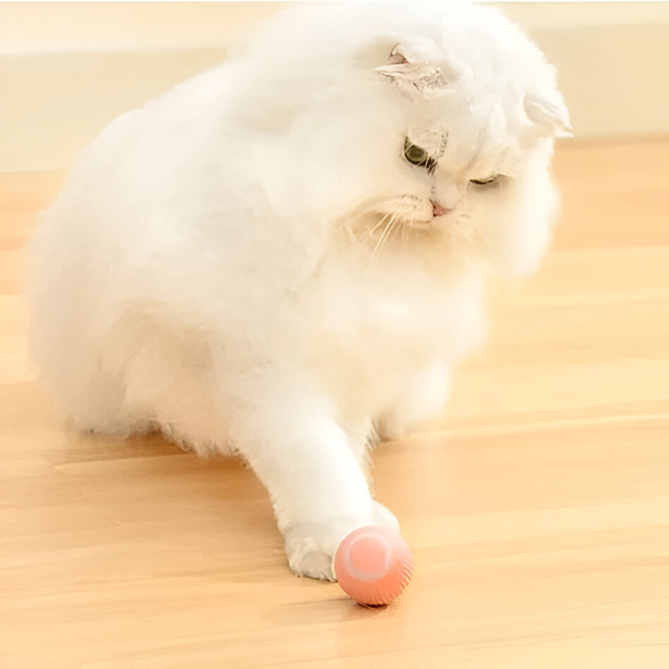 Belro 2-in-1 simulated interactive hunting cat toy with feathers and moving parts for engaging feline play.