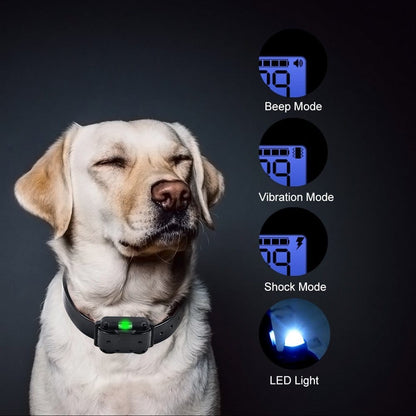 Belro electric dog training collar with 800M range, featuring electronic control and adjustable strap for pet training.