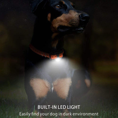 Belro electric dog training collar with 800M range, showing the sleek electronic device and adjustable straps for effective training.