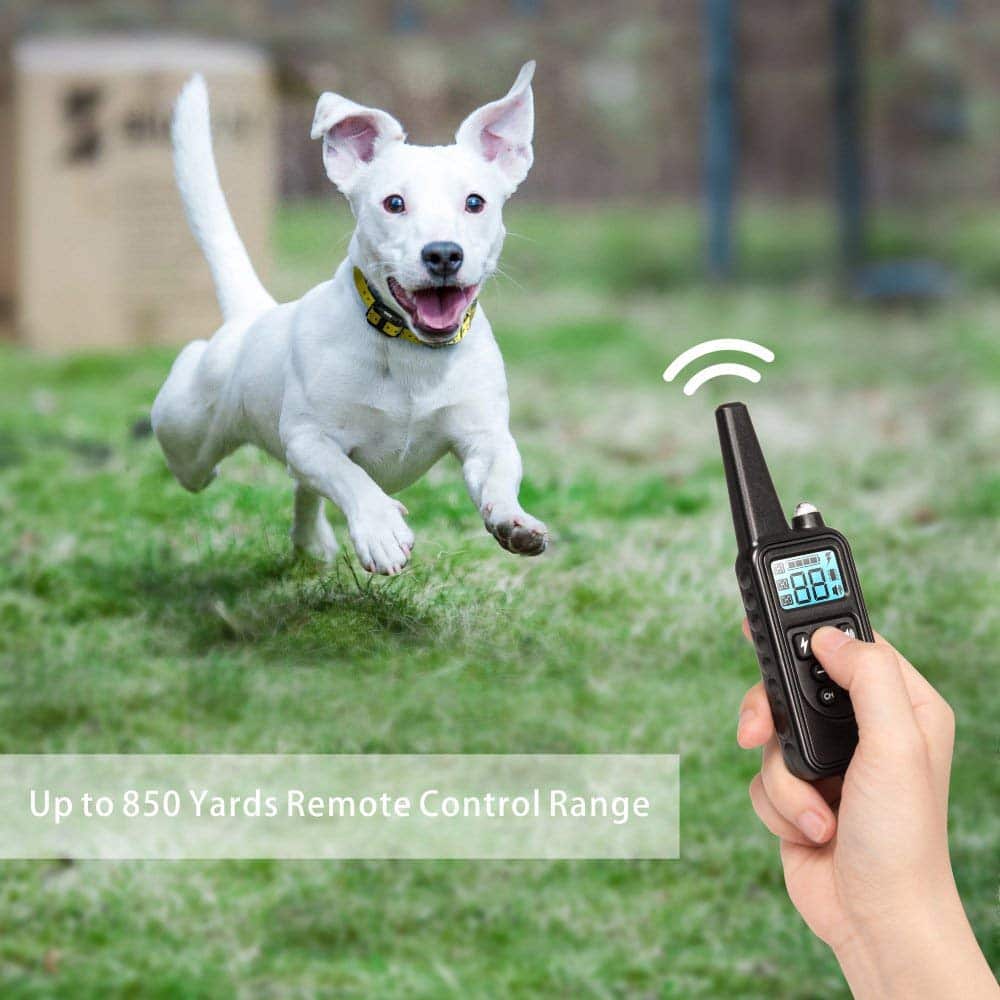 Belro electric dog training collar with 800M range, featuring adjustable strap and control unit for remote pet training.