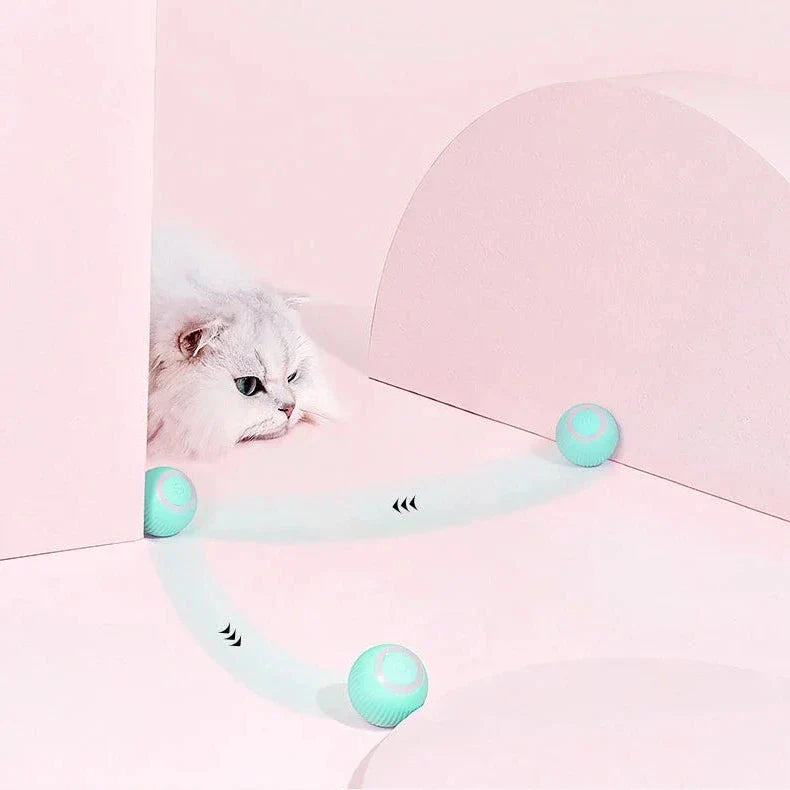 Belro 2-in-1 simulated interactive hunting cat toy with feathers and moving parts for engaging feline play.