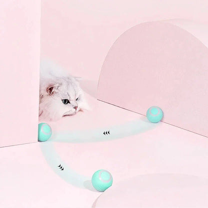 Belro 2-in-1 simulated interactive hunting cat toy with feathers and moving parts for engaging feline play.