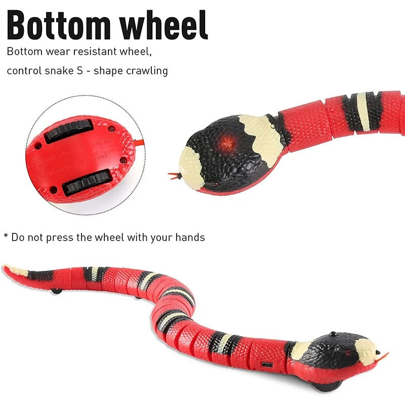 Belro interactive cat toys with colorful moving parts for engaging feline play and mental stimulation.