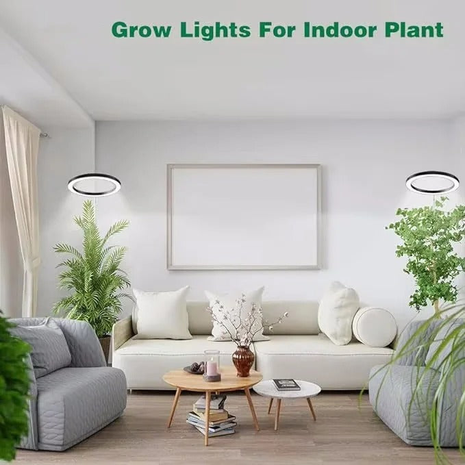 Belro indoor plant grow light in a modern home setting, providing full-spectrum LED illumination for healthy plant growth.