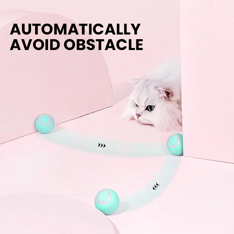 Belro 2-in-1 simulated interactive hunting cat toy with feathers and movement for engaging feline play and exercise.
