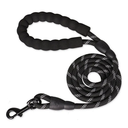 Black reflective dog leash with padded handle by Belro, featuring sturdy leash and comfortable grip for safe walks.