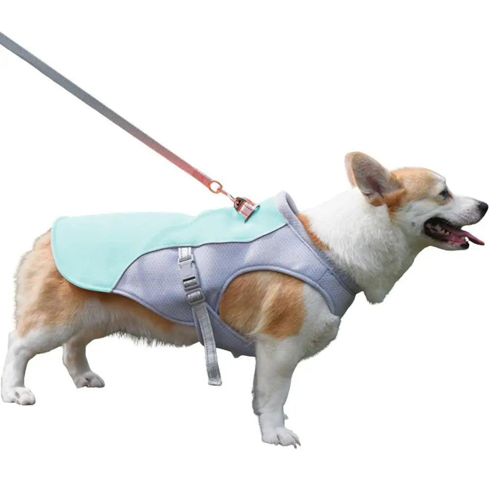 Blue Belro dog cooling vest for outdoor activities, lightweight pet vest designed to keep dogs cool during hot weather.