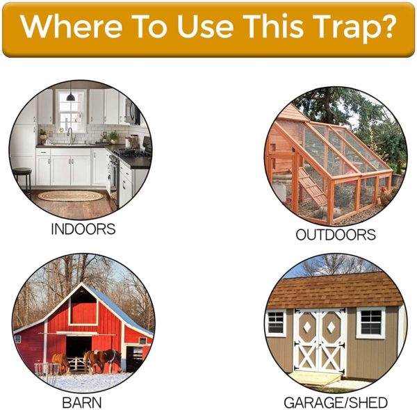 Belro Premium Bucket Lid Mouse Trap set on a wooden surface, designed for outdoor pest control in home and garden environments.