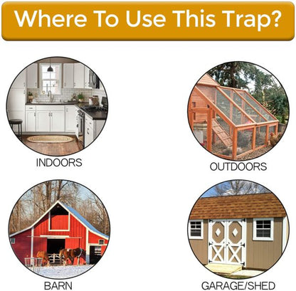 Belro Premium Bucket Lid Mouse Trap set on a wooden surface, designed for outdoor pest control in home and garden environments.