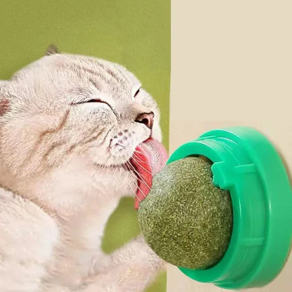 Set of four Belro premium catnip balls for cats, soft plush toys perfect for playful feline entertainment.