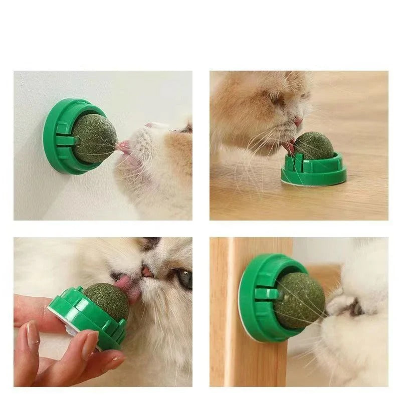Four Belro premium catnip balls for cats, small round toys with bright colors and catnip scent, ideal for feline play and entertainment.