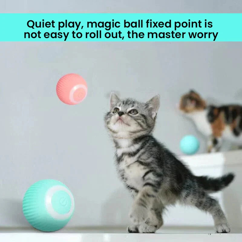 Belro 2-in-1 simulated interactive hunting cat toy with colorful feathers and moving parts for engaging feline play.