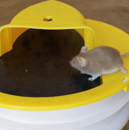 Belro Premium Bucket Lid Mouse Trap designed for outdoor pest control in home and garden settings.