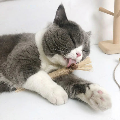 Belro Natural Silvervine Cat Chew Toy for pets, featuring textured silvervine sticks for engaging feline play and dental health.