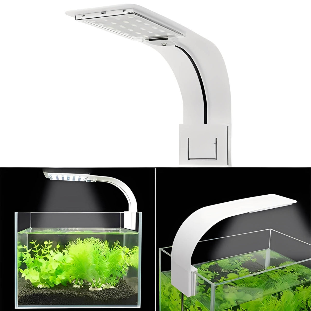 Belro Super Slim LED fish tank aquarium light illuminating an aquatic plant-filled aquarium for vibrant underwater growth.