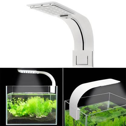 Belro Super Slim LED fish tank aquarium light illuminating an aquatic plant-filled aquarium for vibrant underwater growth.