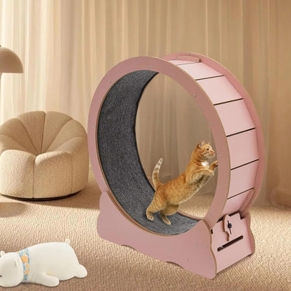 Belro cat exercise wheel designed for indoor activity, showcasing the sturdy structure and compact size suitable for pets.