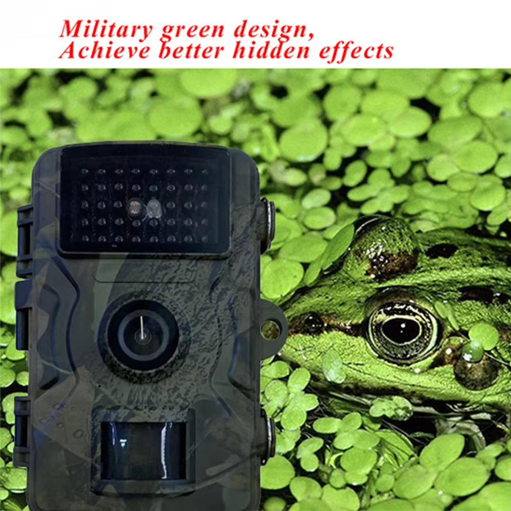 Belro night vision outdoor wildlife trail camera capturing images of animals in low light conditions.