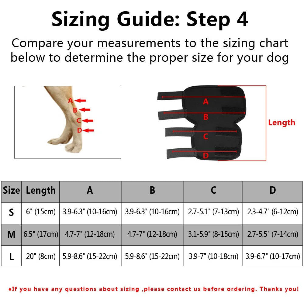 Belro orthopedic dog brace suspenders designed for canine support, shown in a snug fit on a dog in this accessory image.