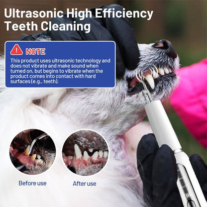 Belro dog plaque and tartar calculus remover tool for at-home oral care, featuring a close-up of the device on a white background.