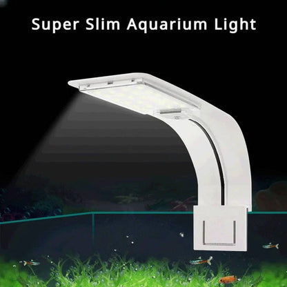 Belro super slim LED fish tank aquarium light illuminating aquatic plants inside a clear fish tank, ideal for freshwater or marine setups.