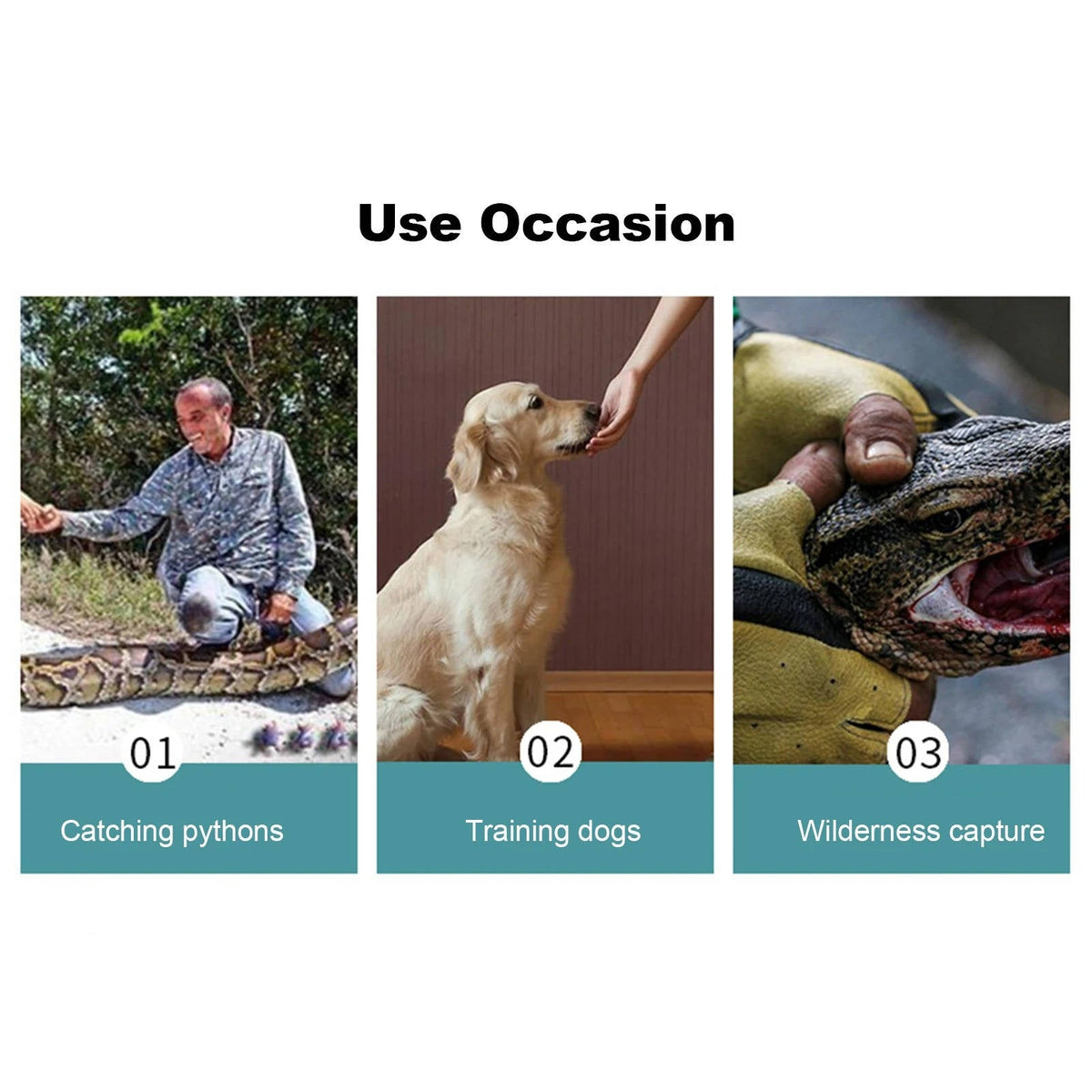 Belro Bite Protection Gloves for fish tank maintenance, durable pet supplies designed to prevent bites during aquarium work.