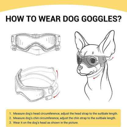 Belro dog goggles with clear UV-protective lenses and adjustable strap, designed to protect dogs' eyes during outdoor activities.
