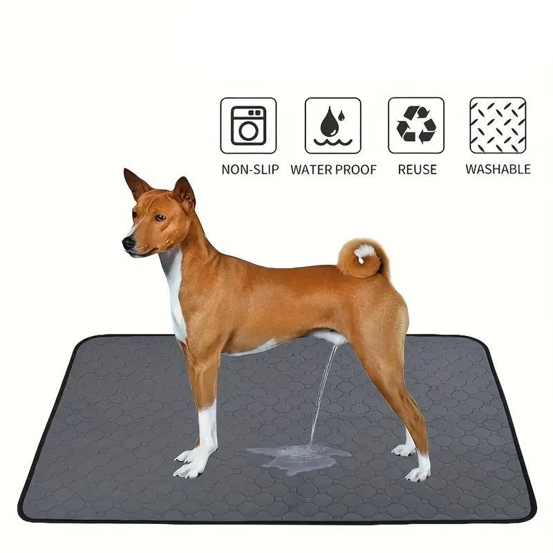 Belro disposable and reusable dog pee pads, absorbent pet training and potty pads for dogs, in a clean, soft surface.