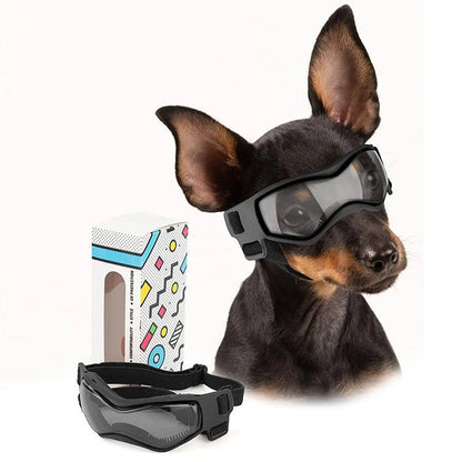 Belro dog goggles with black frames and clear lenses, designed as protective eyewear accessory for pets.