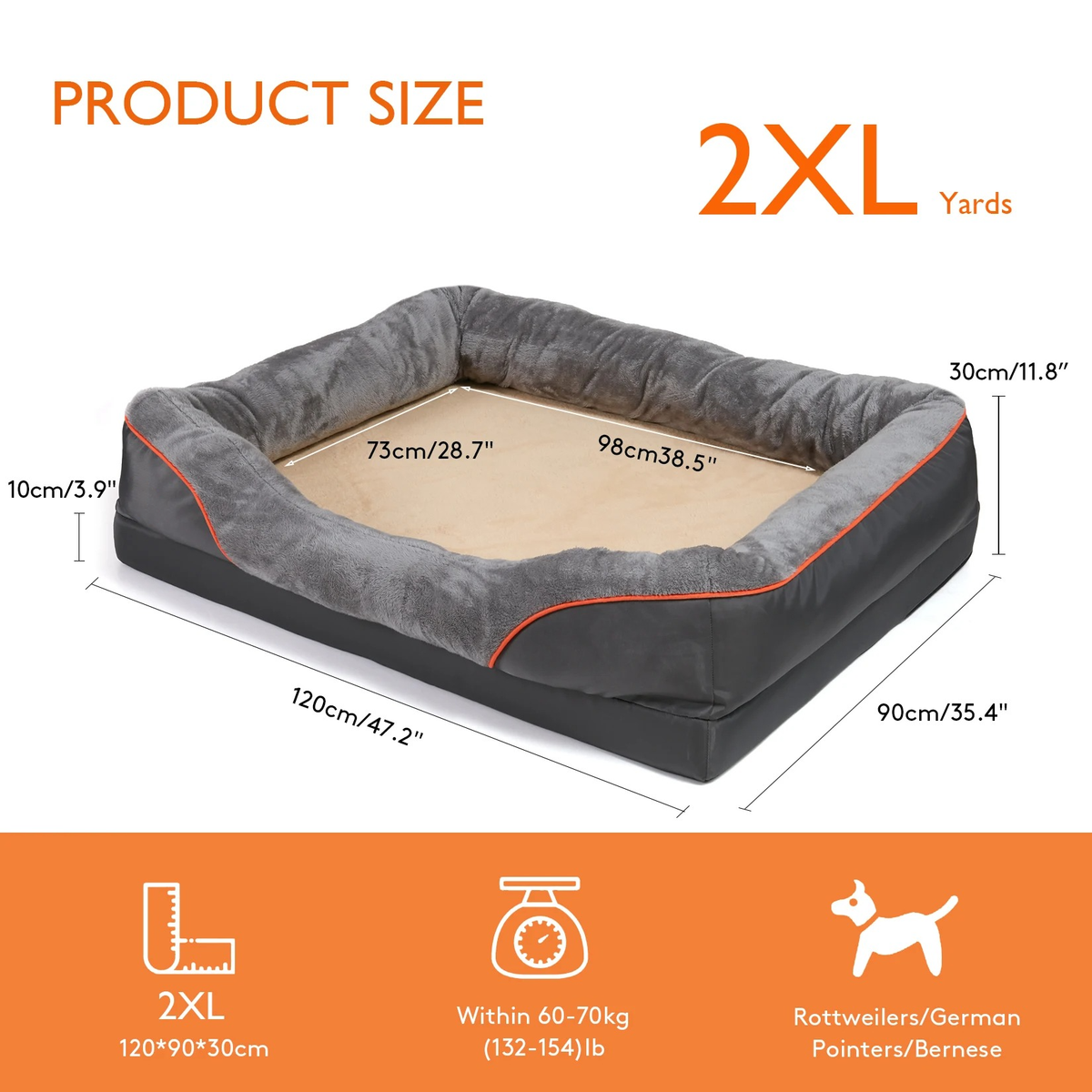 Belro orthopedic dog bed with plush cushioning and supportive sides for comfortable pet rest in a cozy pet supplies setting.
